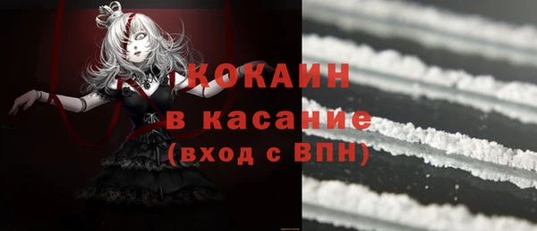твердый Алексеевка