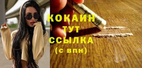 твердый Алексеевка