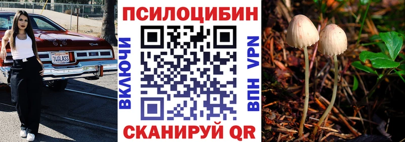 блэк спрут зеркало  Конаково  Галлюциногенные грибы мицелий  дарнет шоп 